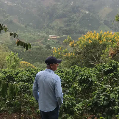 Colombia  Panorama #2 by Arbey